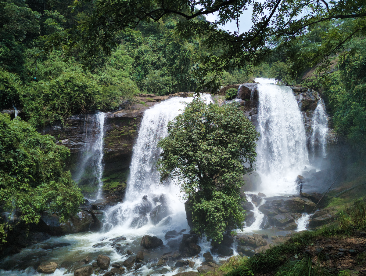 Kerala Tour 6 Night & 7 Days  - Monsoon Special